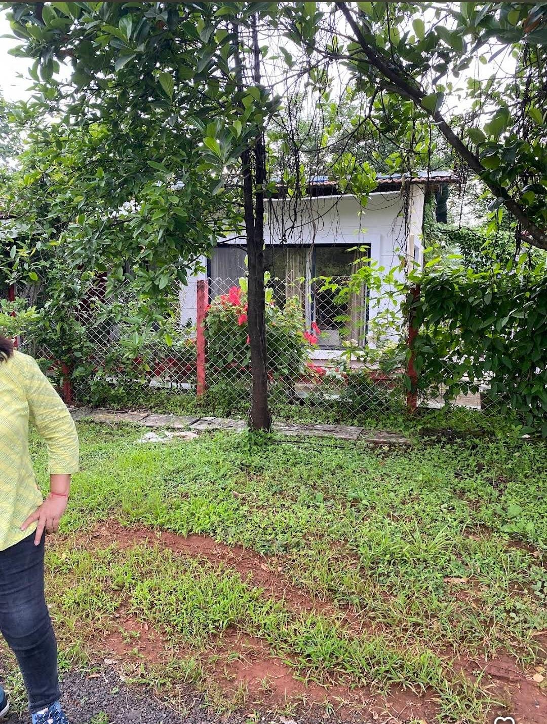 Bungalow amid greenery